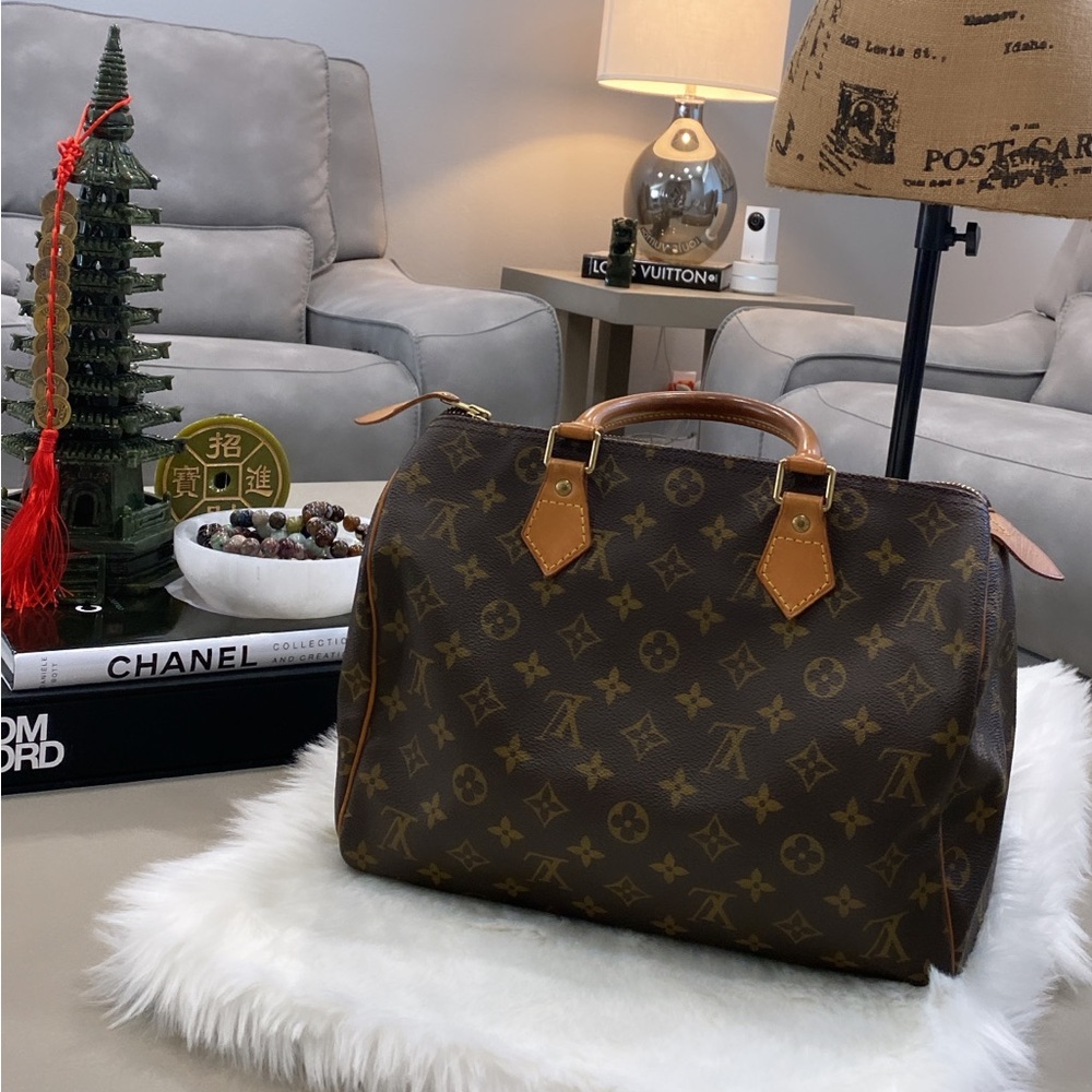 LOUIS VUITTON Speedy 30 Bag